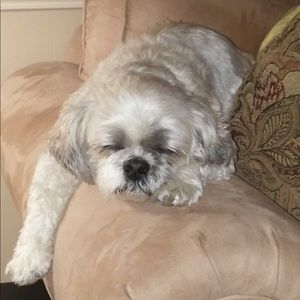 Meet your Posher, Jason